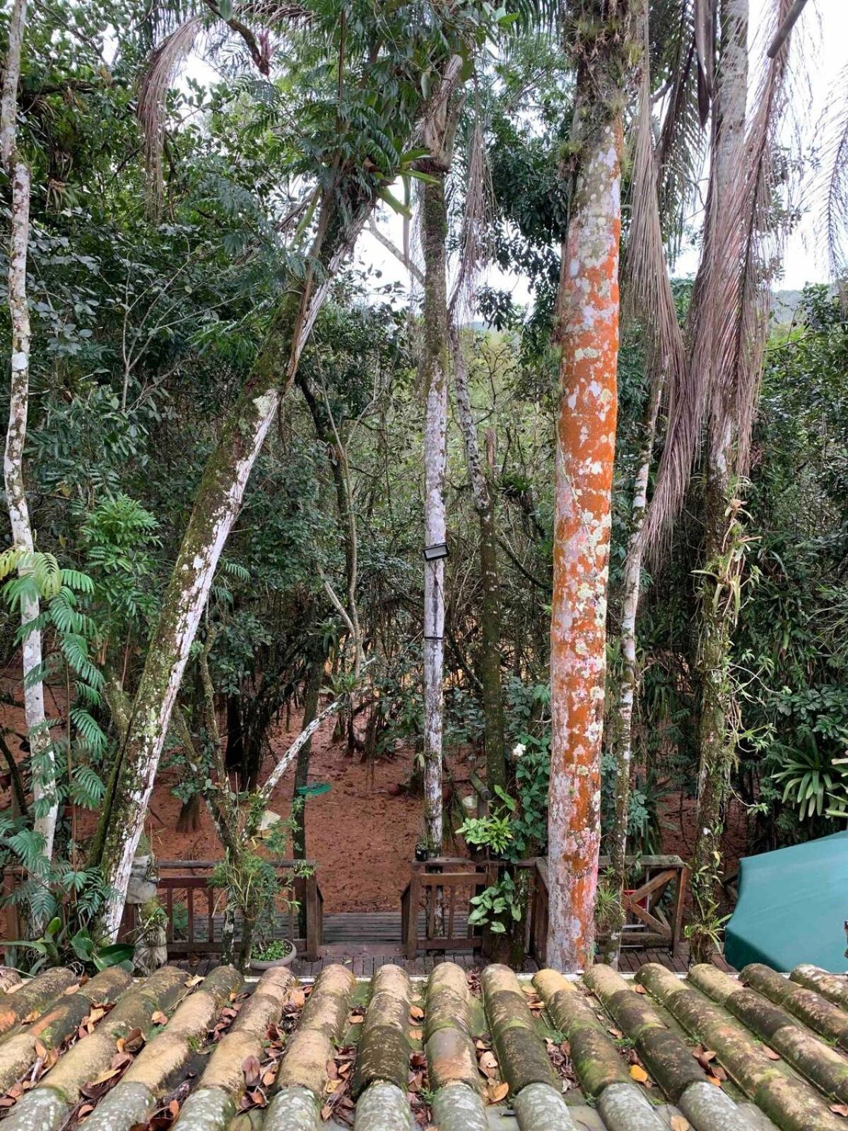 Casa Em Juquehy Com Muita Natureza Sao Sebastiao  Buitenkant foto
